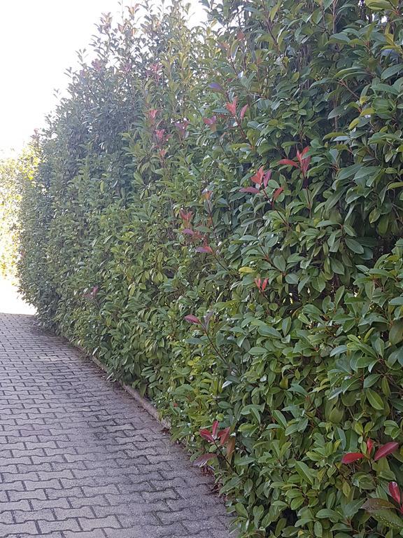 Hotel Il Baronetto 3*